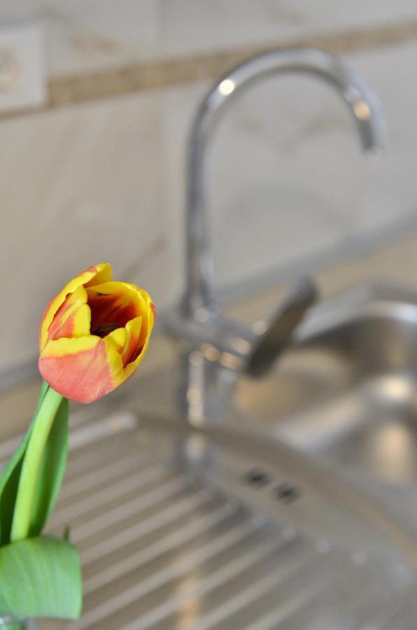 Apartmani Peric 1 Meka Draga Obrovac Ngoại thất bức ảnh